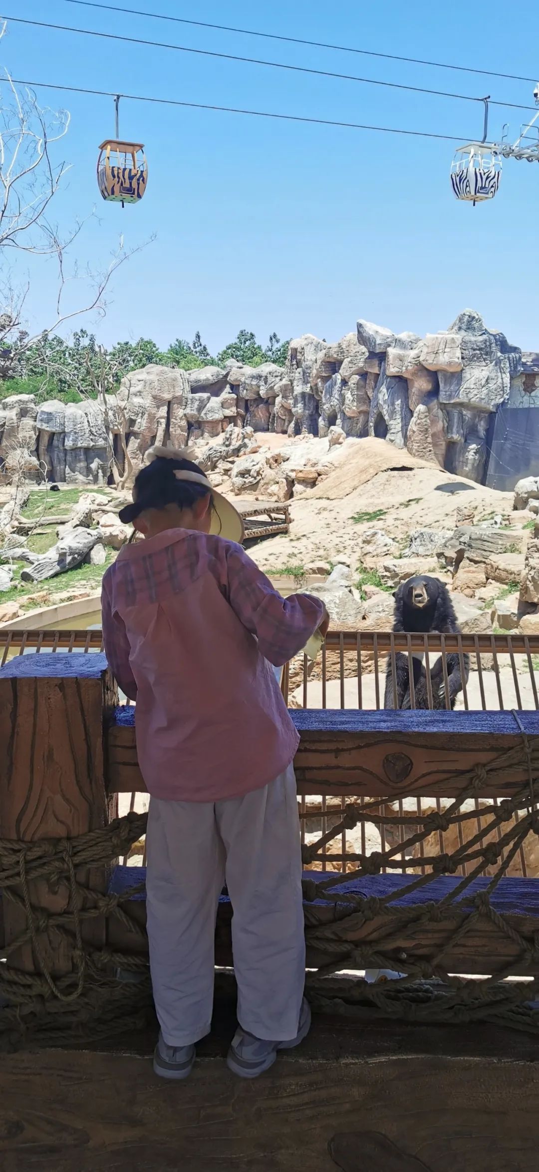 欧乐堡海洋极地公园攻略,欧乐堡最全游玩攻略请收好