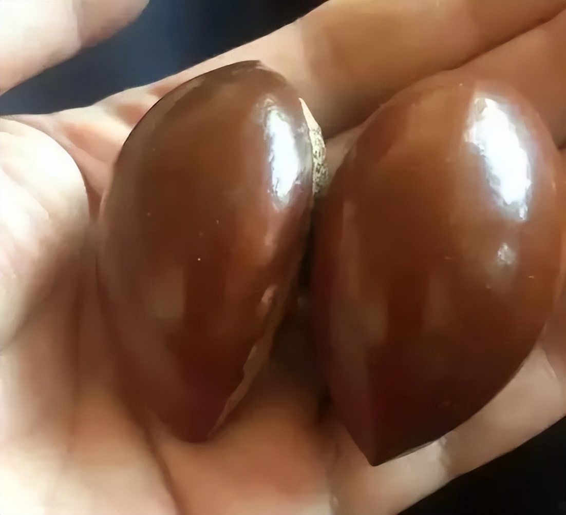 不要钱的所有文玩,不要钱了文玩还能盘出来