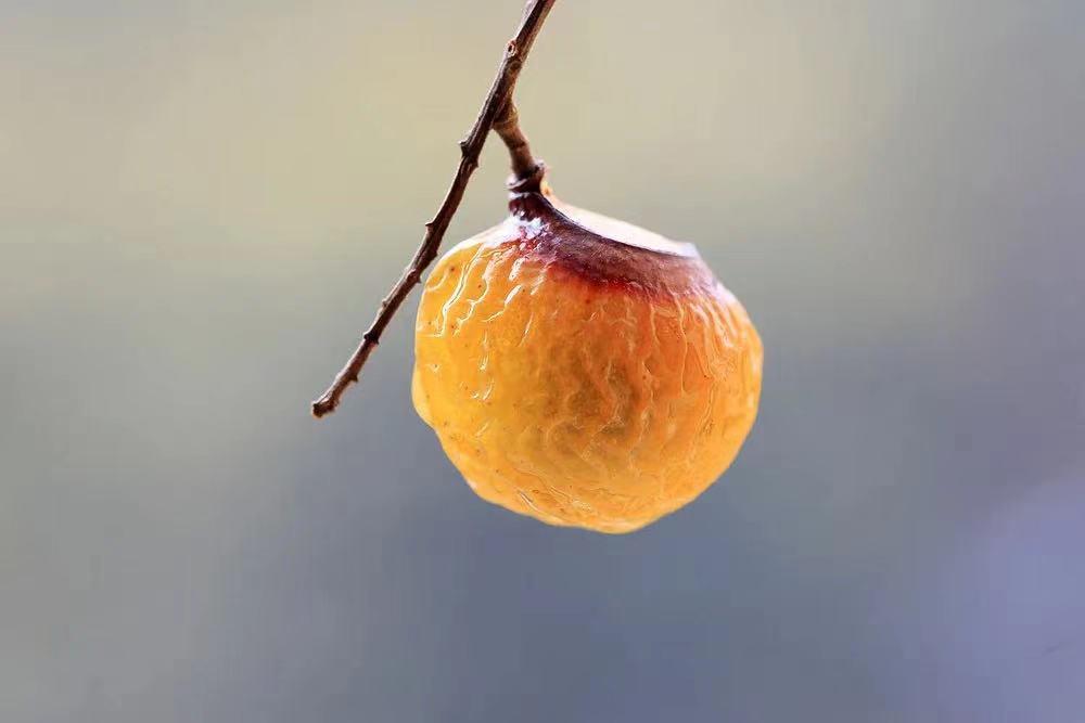 几十年不涨价的三大良心国货,五块钱的国货