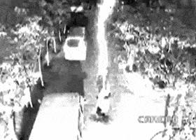 老鼠贴粘掉老鼠几个毛会死吗,老鼠贴粘到老鼠跑掉以后会死吗