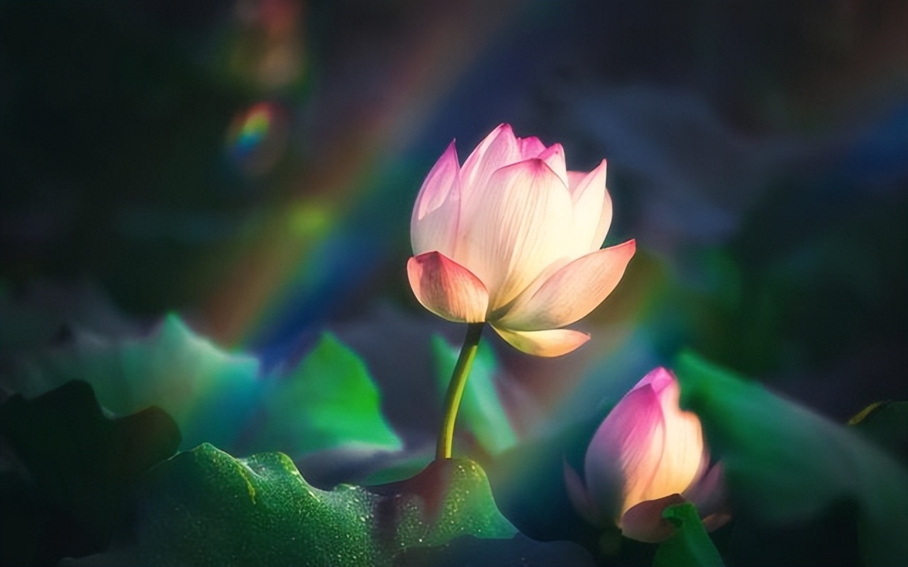 人到中年挣钱是最重要的事,只要放下面子就能赚钱的行业