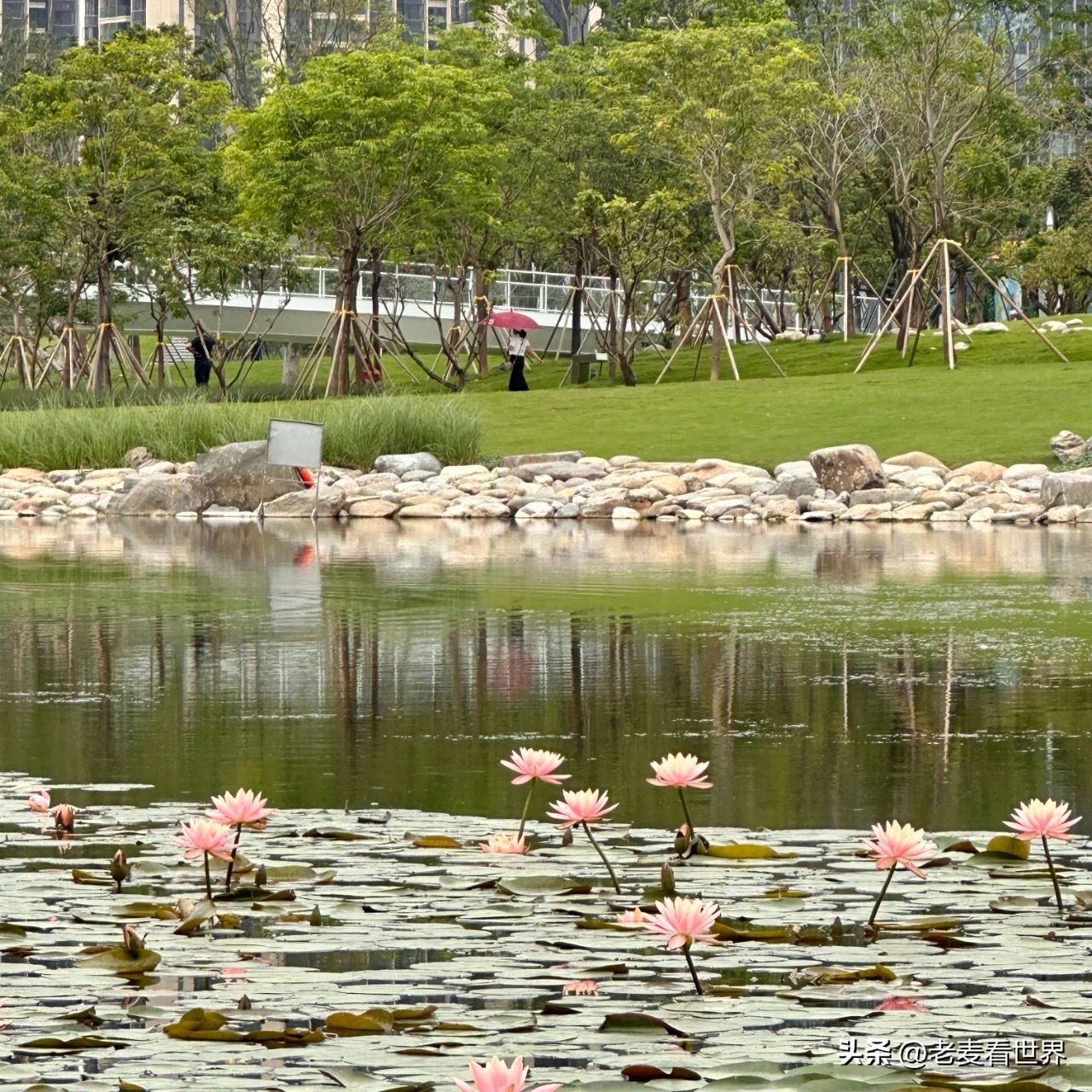 东莞中心公园怎么玩？最全攻略助你通关！五一打卡必备