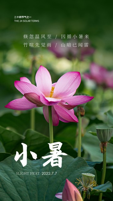 小暑碰上七七事变纪念日,七七事变纪念日大暑