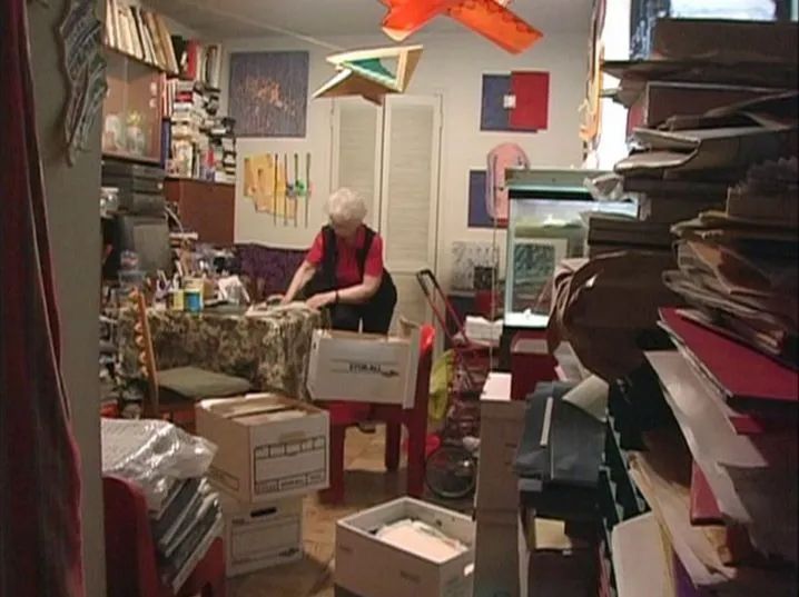 丁克家庭晚年真实生活 (丁克晚年生活纪录片)