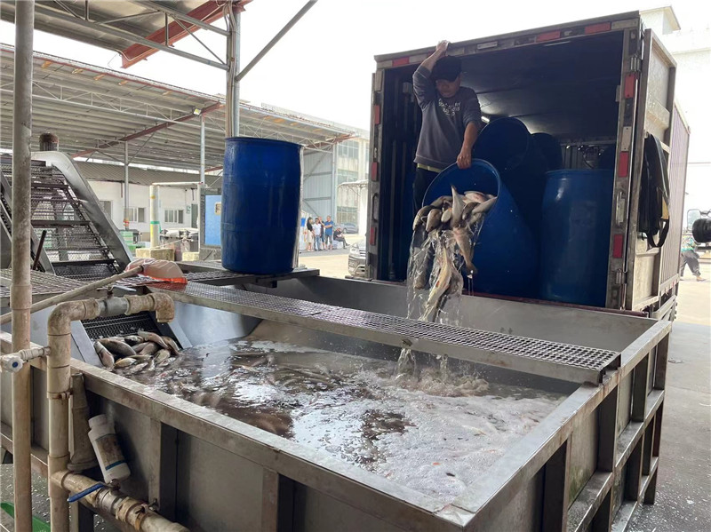 当冷链大咖遇上斯堪尼亚卡车，带您看珠海丰链的风生水起之路