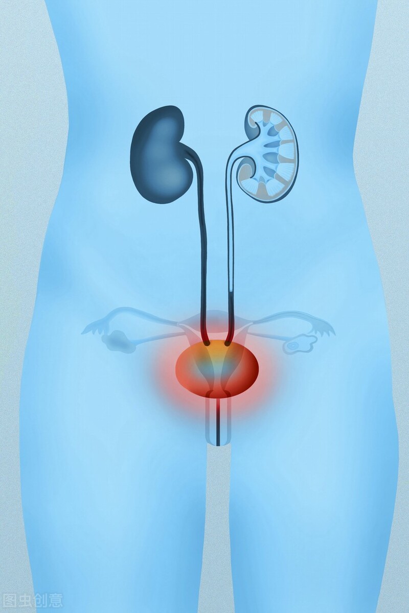 冬天夜里憋尿的危害,冬天憋尿对身体有什么危害