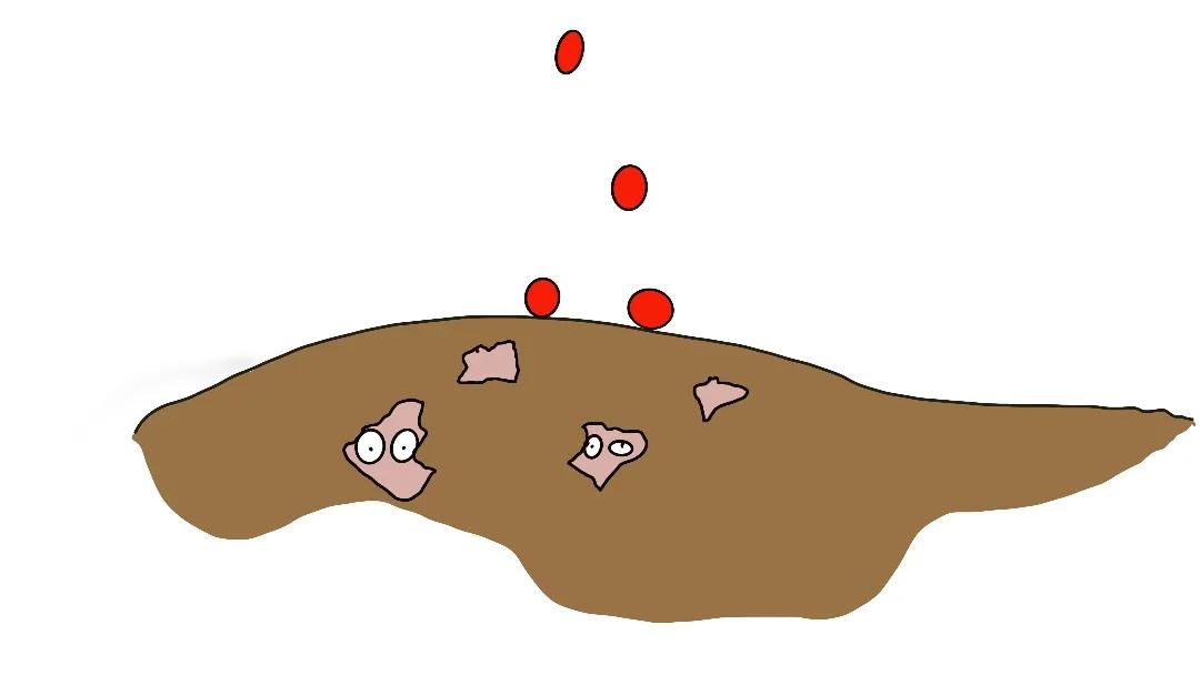 百草枯危害动画,百草枯的危害动画