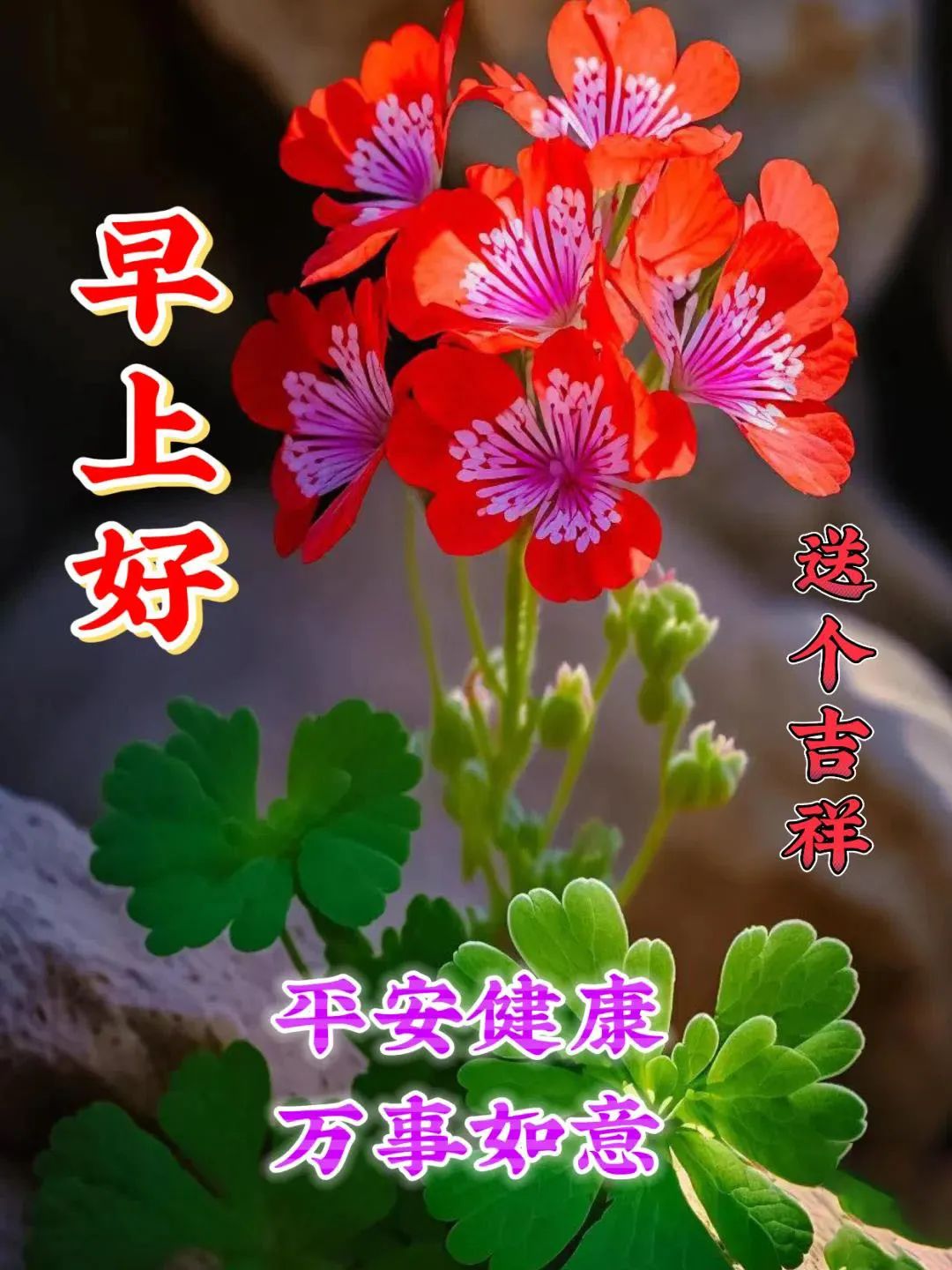 经典早安心语语录大集合36句,经典早安心语语录集锦55条