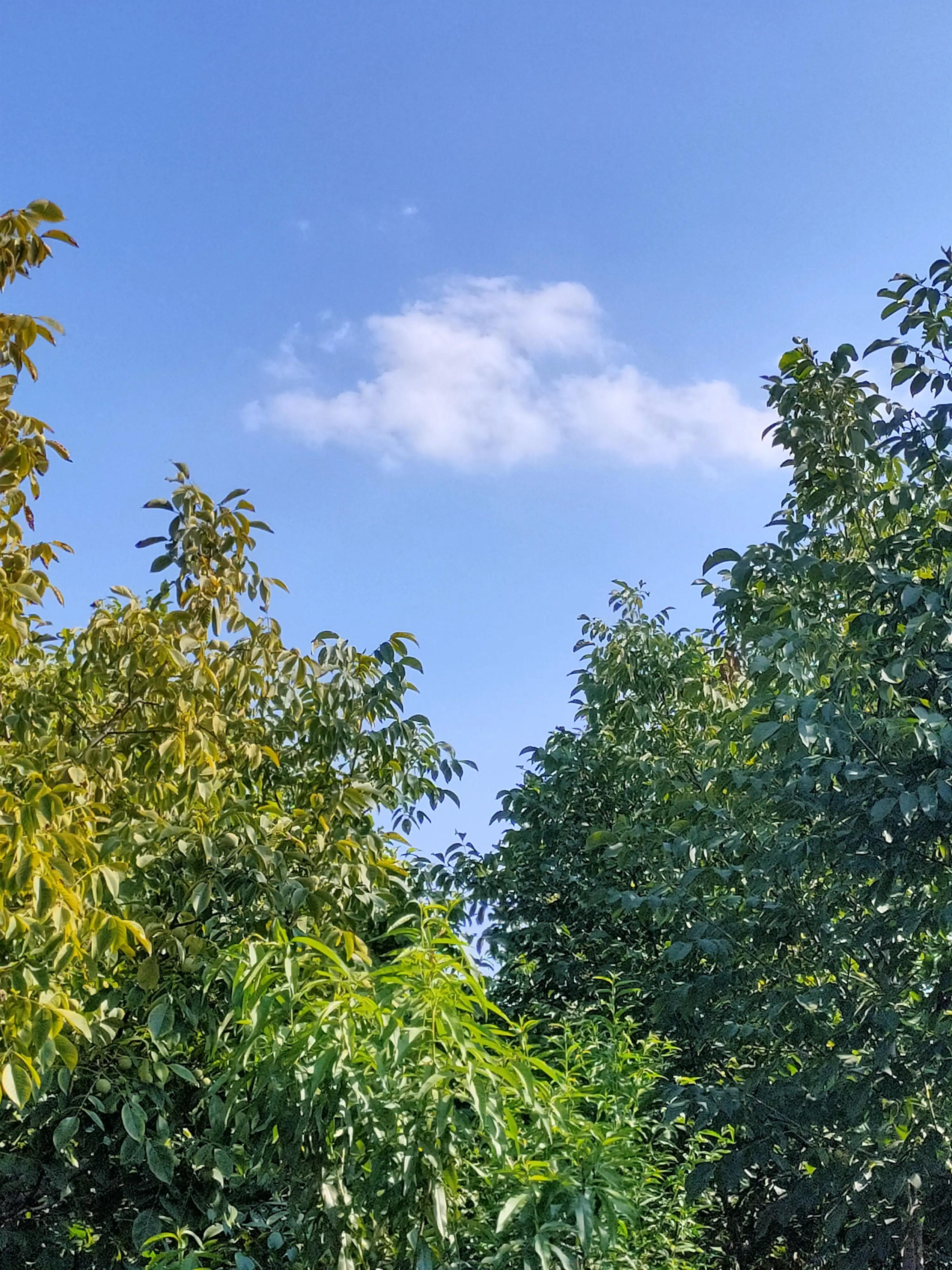 史庄村“五星”支部创建七律/李清民中华诗词学会会员