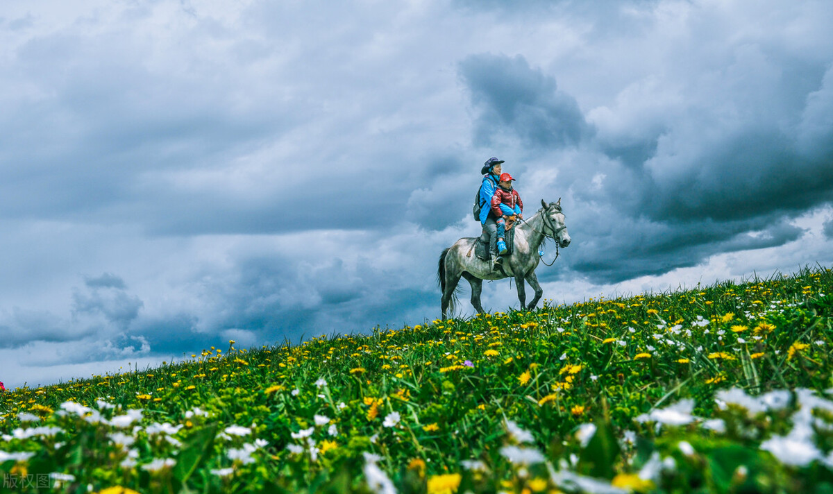 在草原上骑马是一种享受,草原骑马的真实感受