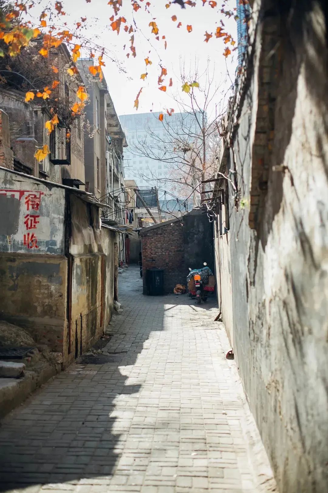 街角二十多年的炸串老店味道如初,徐州特色炸串有哪些店铺