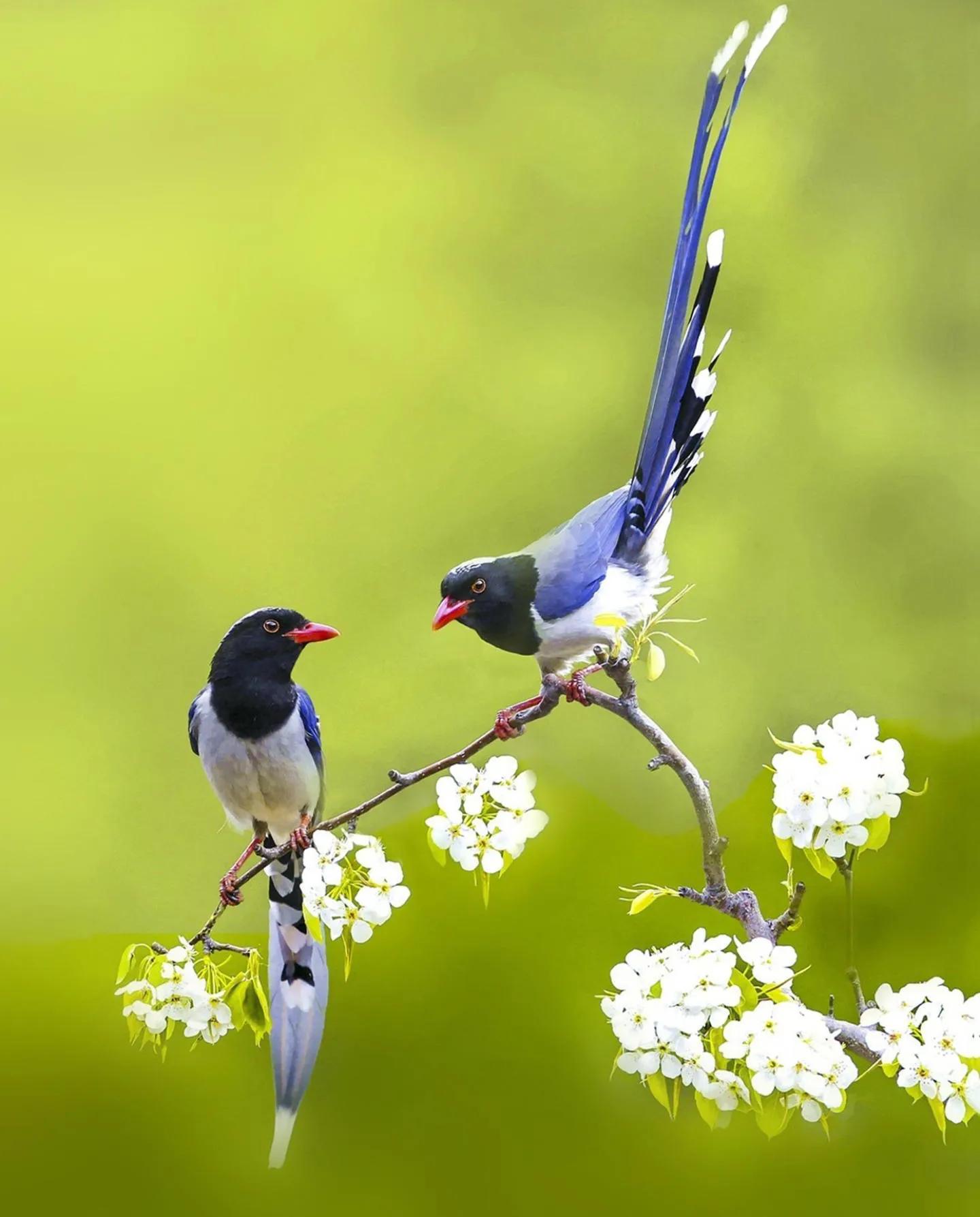 俄乌战事美国干了什么,预测俄乌战事最终结果