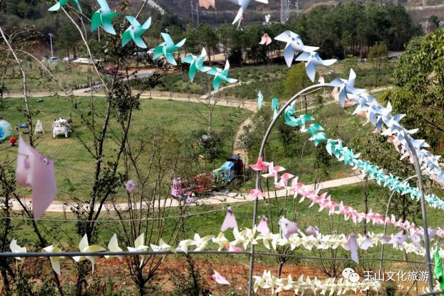 全球学子嘉游赣|中国博士县、世界台球城，一文带您游遍玉山县