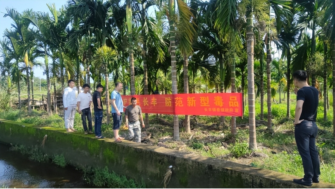 太平圩镇开展禁种铲毒工作,丰阳镇开展禁种铲毒踏查活动