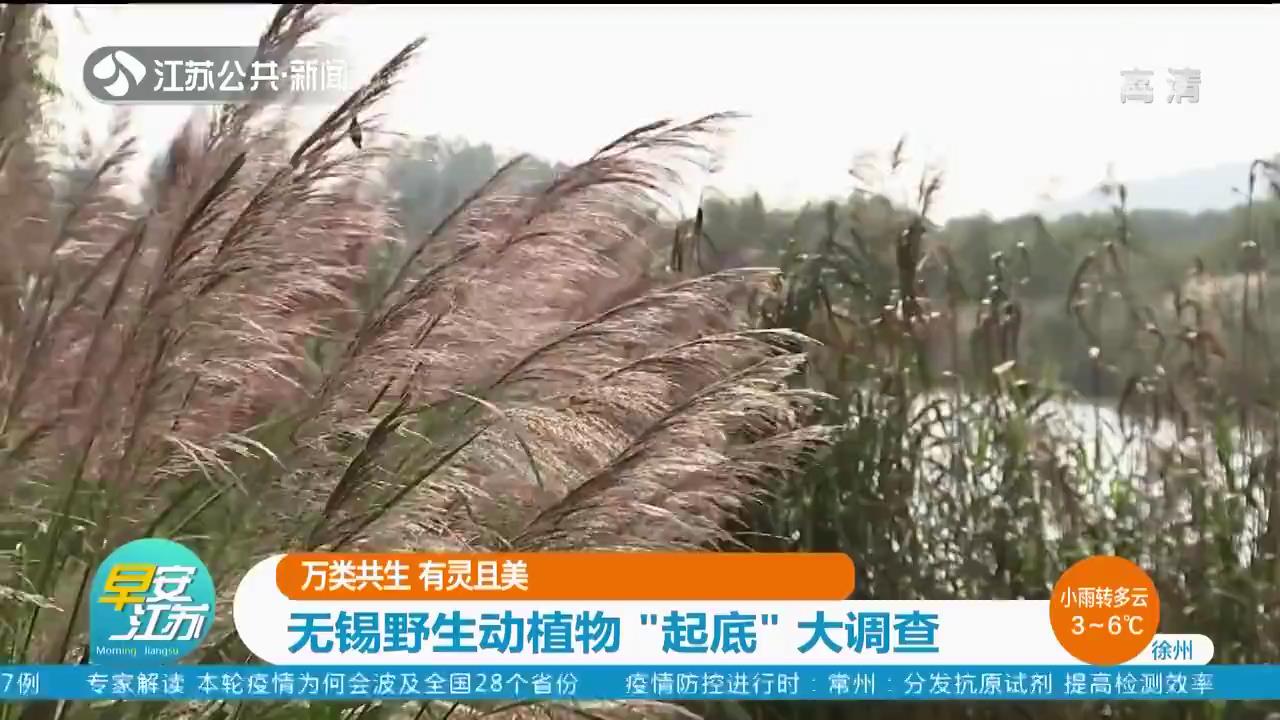 万类共生有灵且美无锡野生动植物“起底”大调查