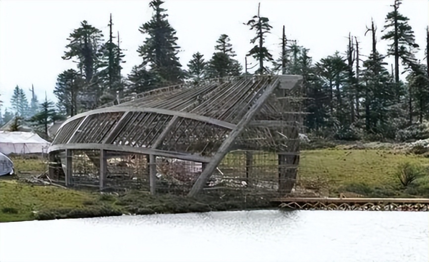 陈凯歌为何弃倪萍选陈红,陈红回应插足陈凯歌与倪萍事件