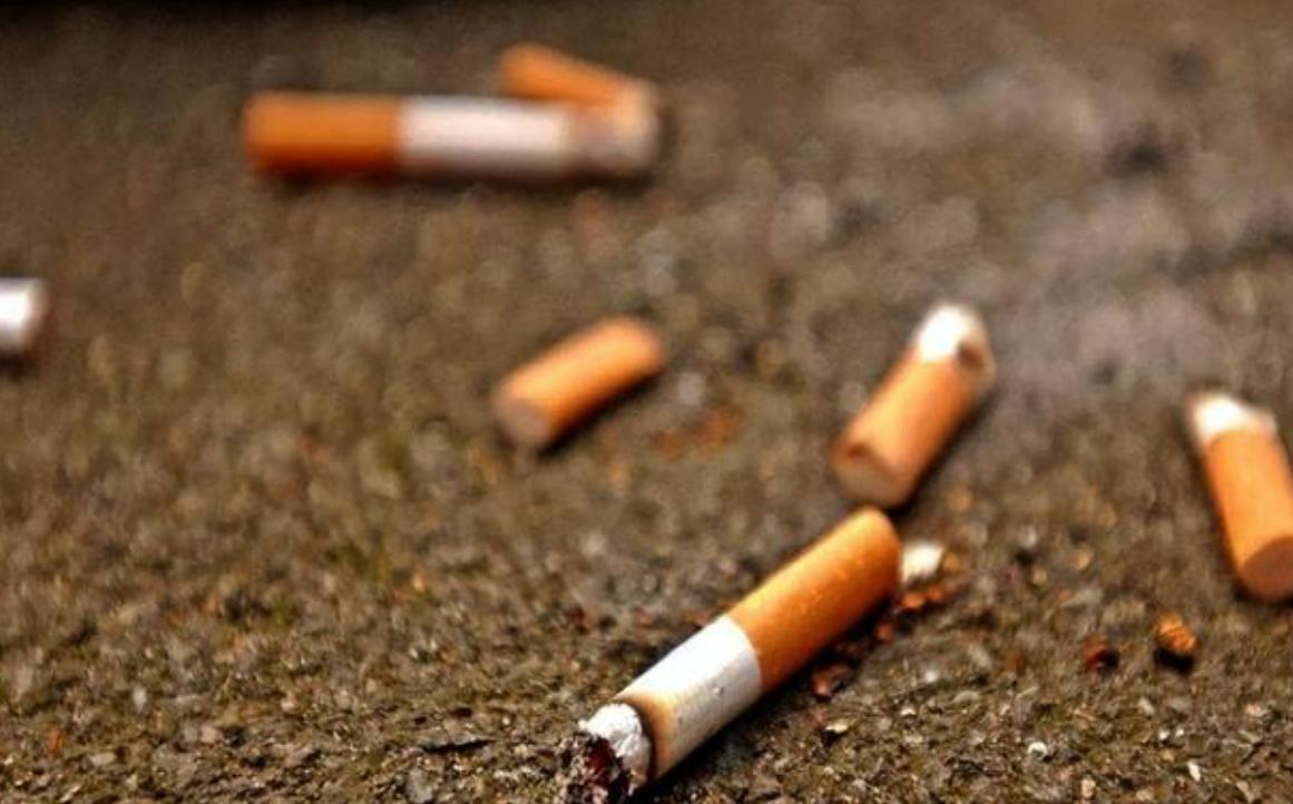 日本为什么看上中国的废弃烟头呢,日本高价回收我国废弃烟头