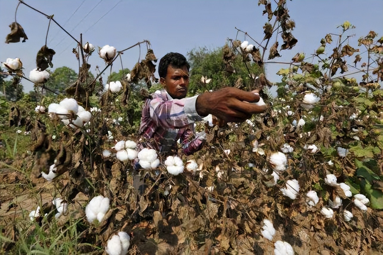 公元200年到公元500年的历史,关于历史的知识公元前1600