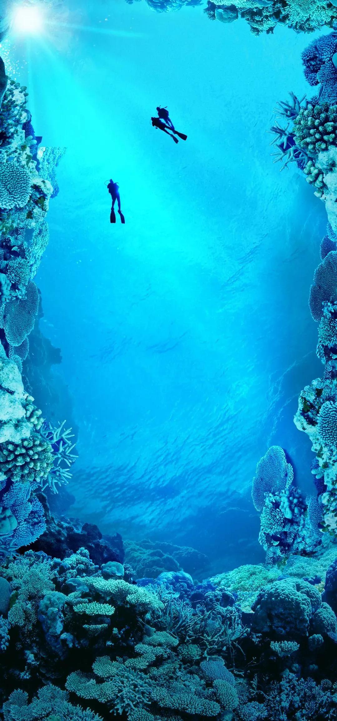 原图壁纸：Andriod手机挖孔壁纸,第一期