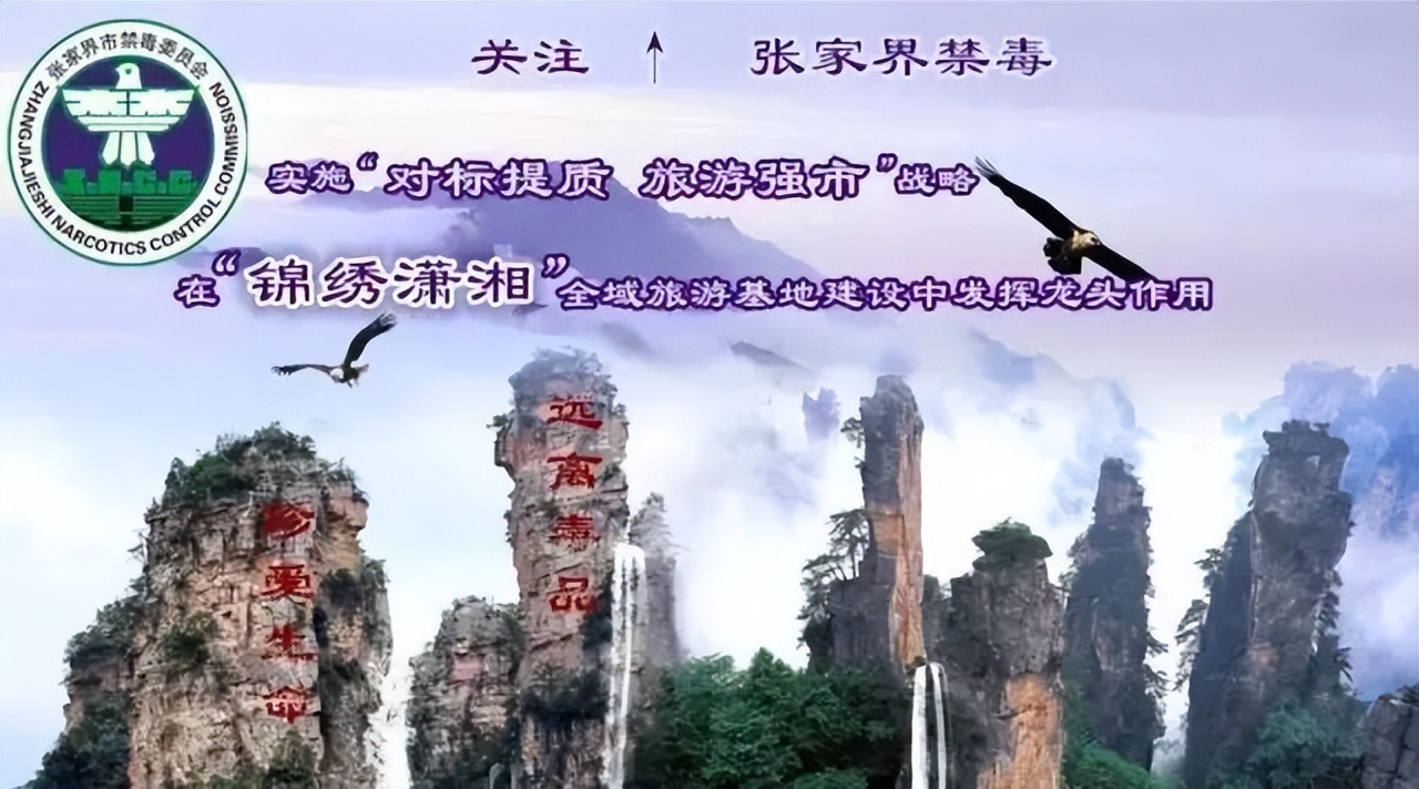 【直播预告】定了，这个大赛来啦！