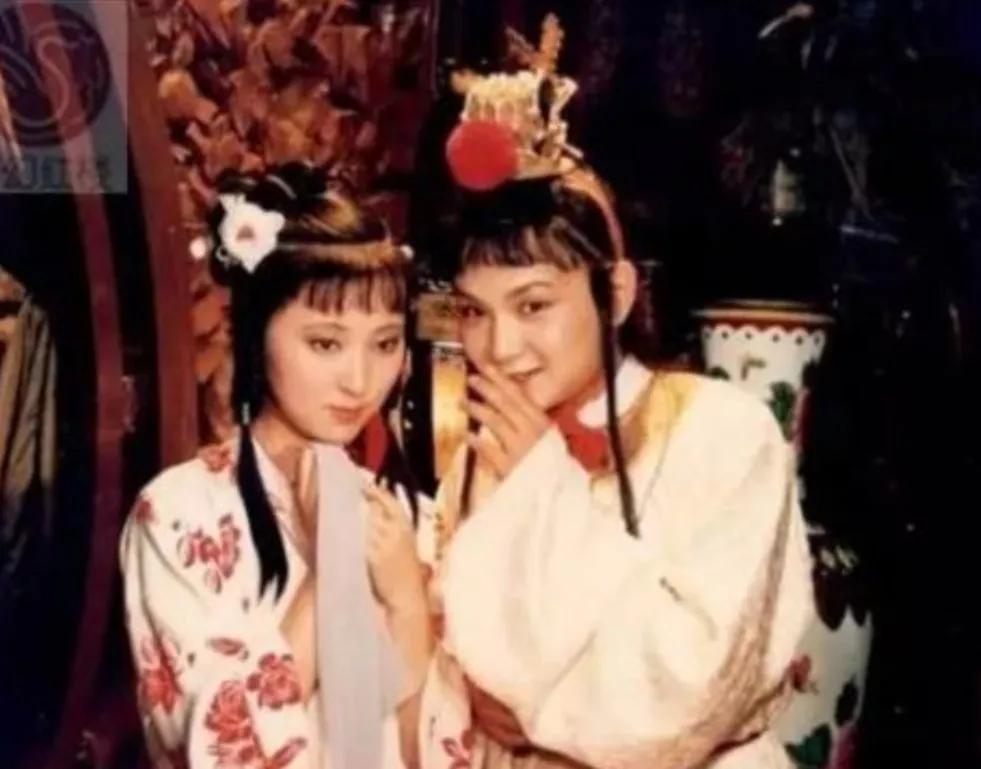 红楼梦经典嘲讽名句,红楼梦唐多令咏絮解析