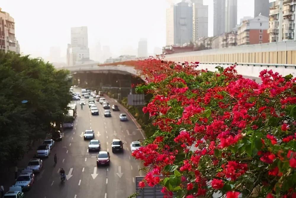 在厦门生活,在厦门生活工作的感受