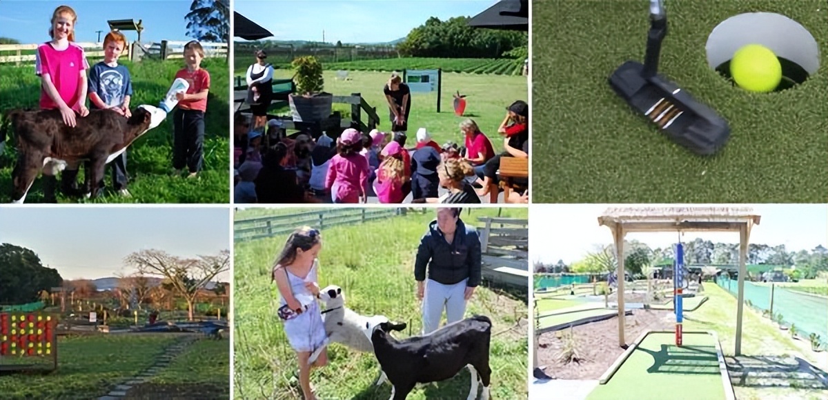 新西兰蒂普基猕猴桃特色小镇，如何实现从区域品牌到享誉世界？