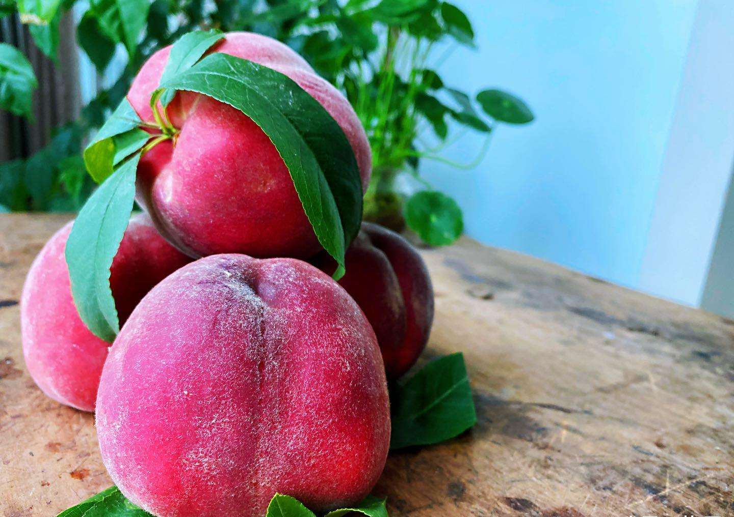 “桃子”不能随便吃？医生：不管好坏，这几类人别凑热闹了