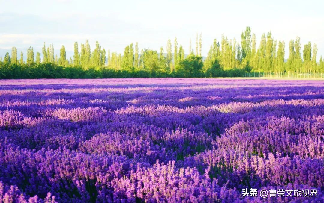 北疆旅游攻略北疆小环线,新疆的北疆大环线旅游攻略