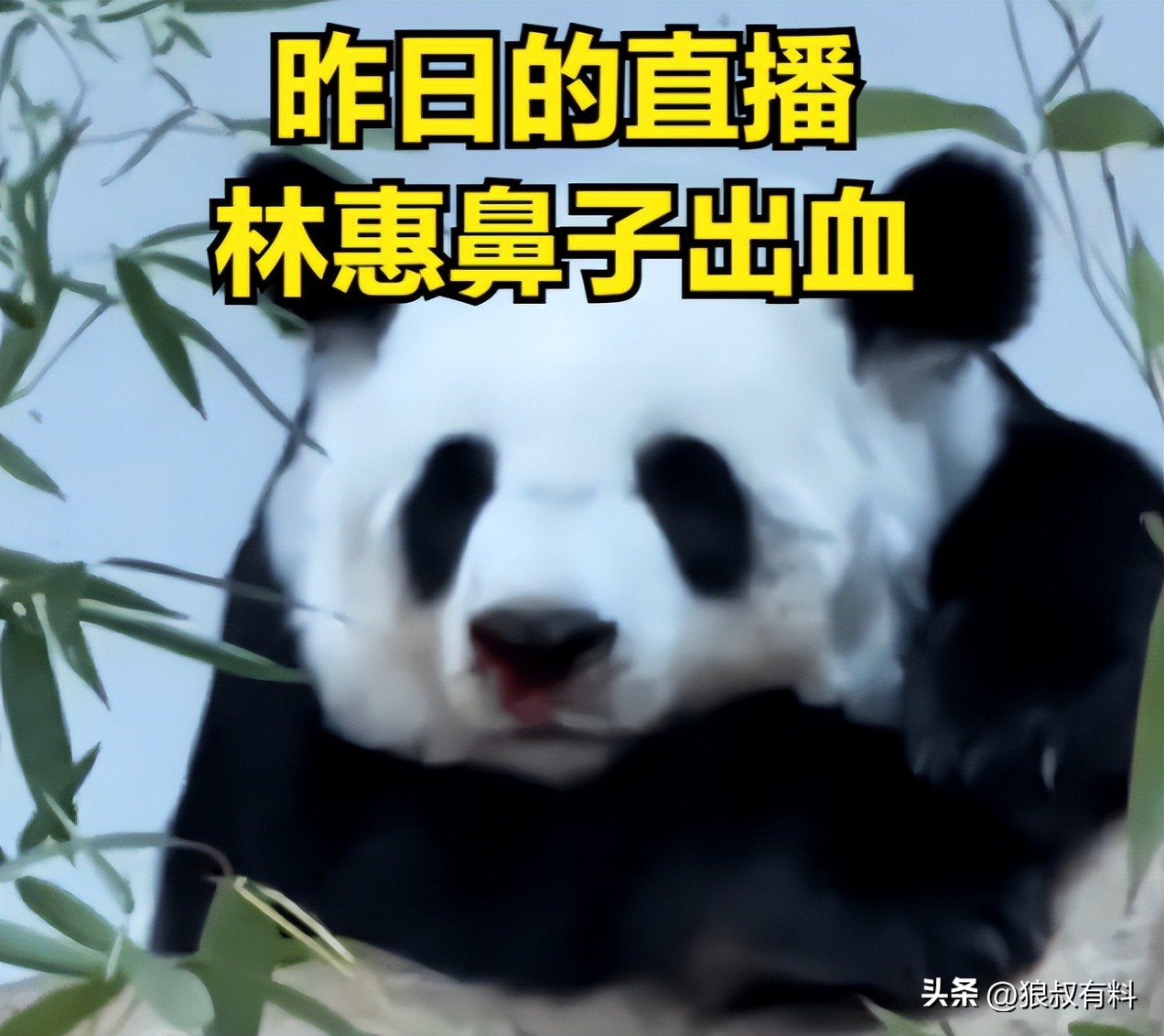 泰国五一,中国游客没来,机场一片冷清,网友:中国赚钱中国花