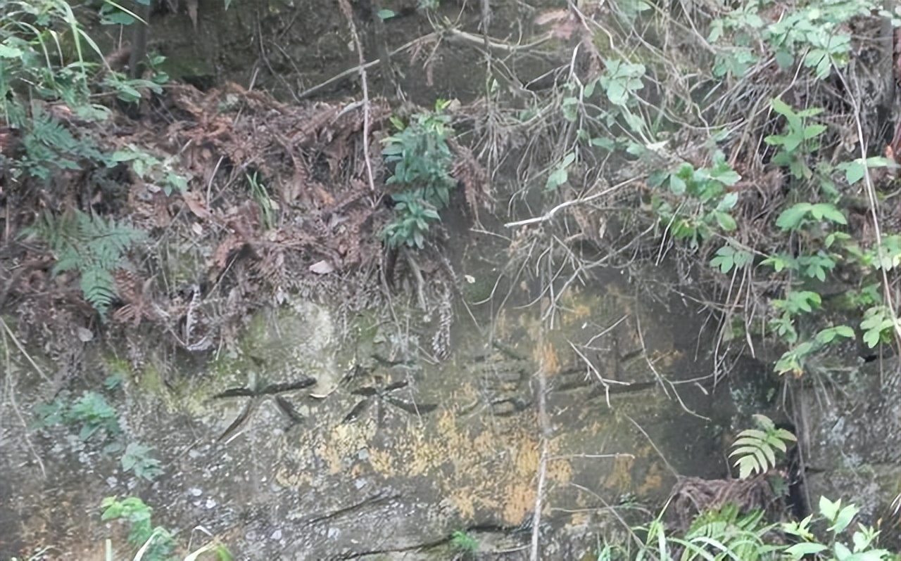 璧山青龙湖一日游最佳路线,万里长江唐诗