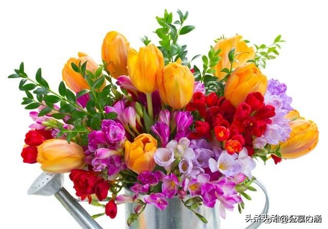 3月15日早安每日问候祝福语,三月最美早安祝福语