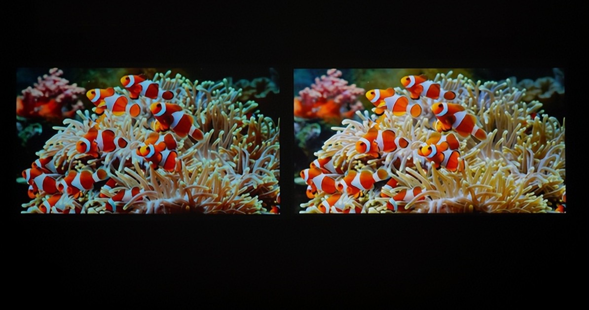 投影仪选购技巧与建议,投影仪入门该怎么选购