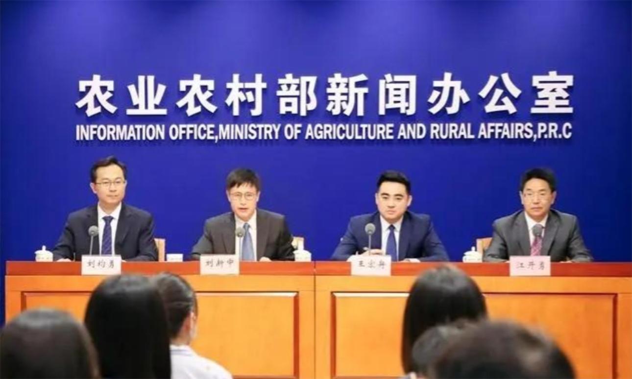 农民在荒地种菜被政府铲除,湖南农田种姜被铲后续