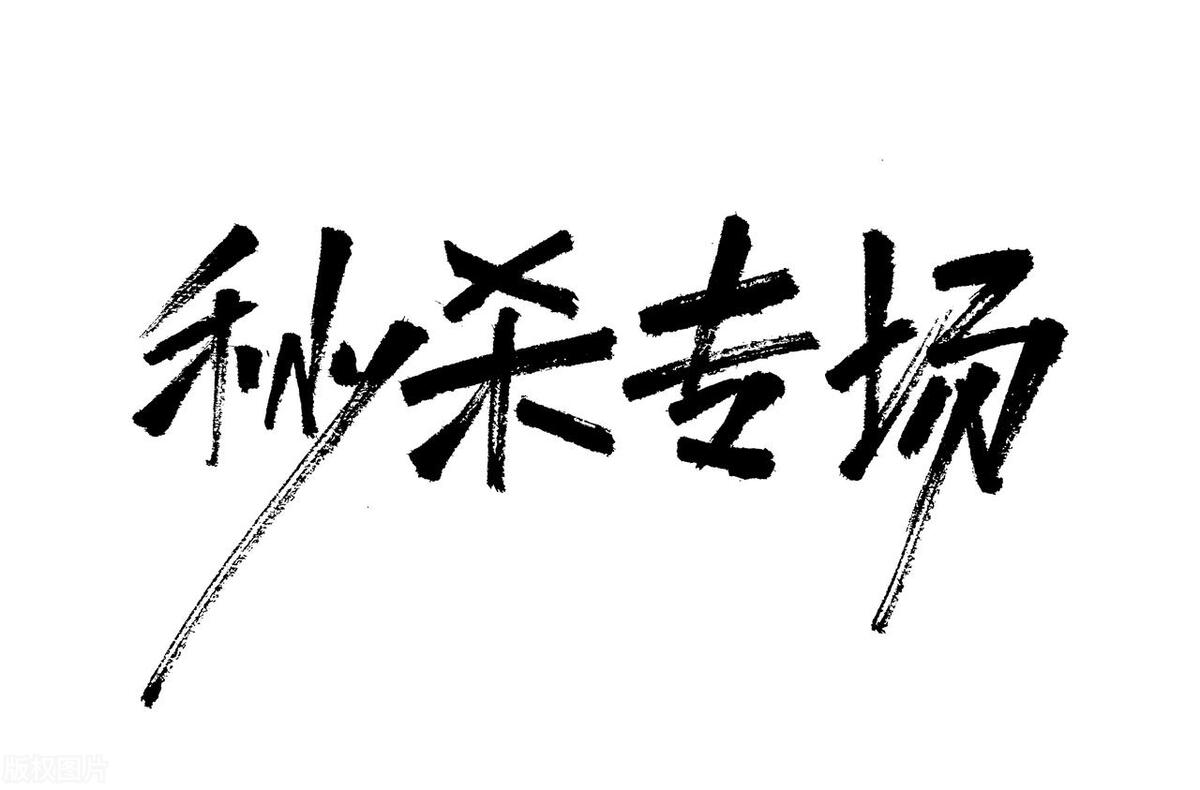 传统电商平台营销模式,农业电商营销模式