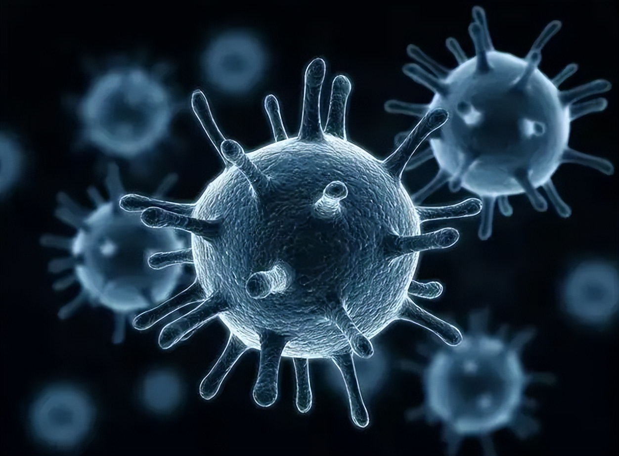 宠物肾脏指数高,宠物肾脏受损怎么办