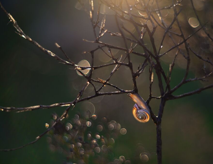 大自然的美景秋天摄影照片,美丽的大自然春夏秋冬图片大全