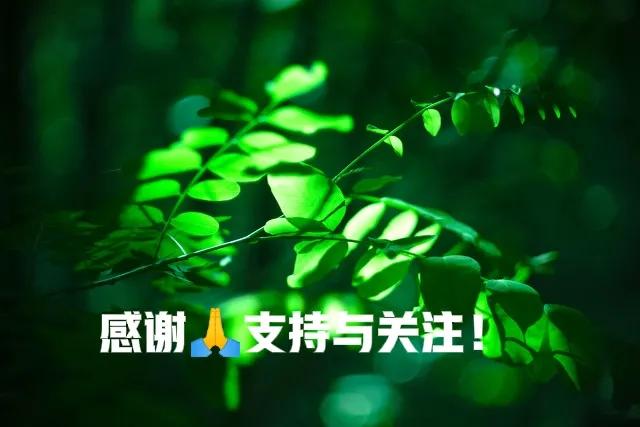 家具线上购买和线下购买哪个好,同品牌家具线上线下区别