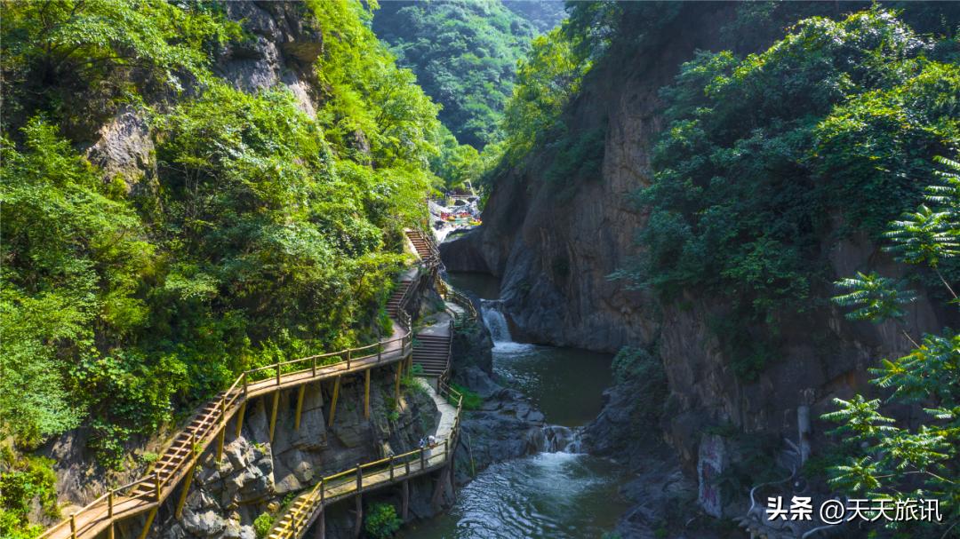 河南景点森林氧吧,河南五地入选中国天然氧吧