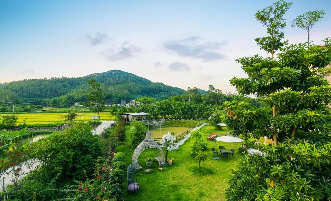 广州增城四季田园民宿,增城网红稻田民宿