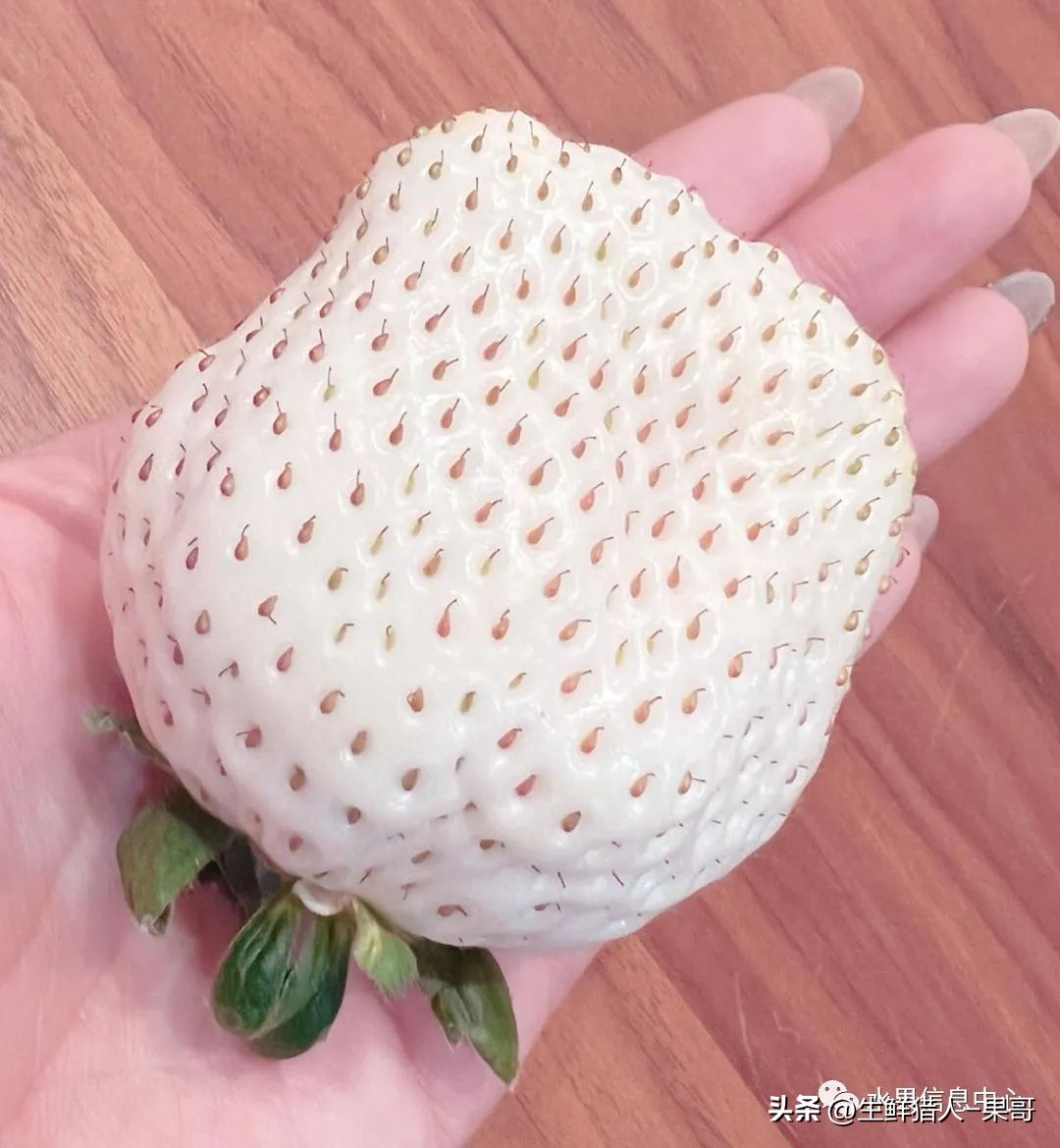 最好吃的白草莓品种前十名,好吃实惠的草莓品种有哪些