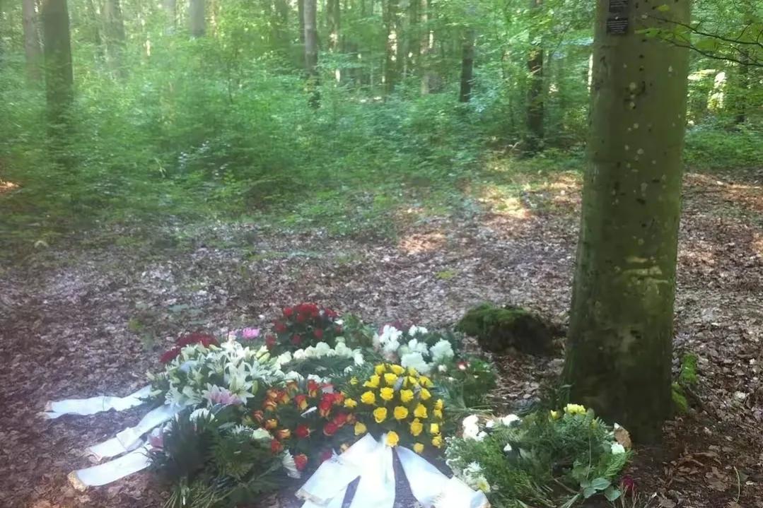 人火化后骨灰为什么那么少,火化后的骨灰真的是骨灰吗