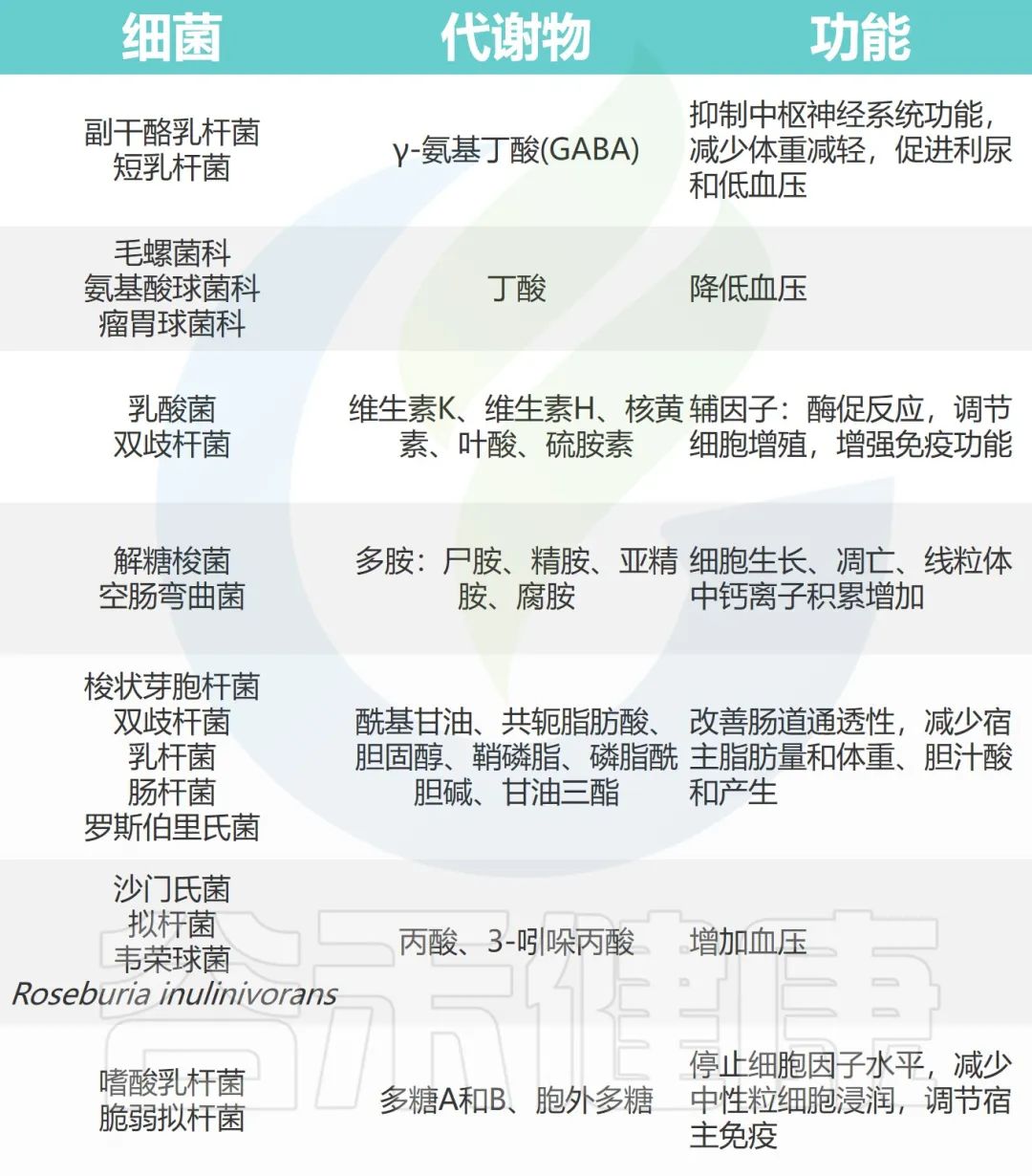 人体微生物分布于哪些位置,与人体共生的微生物