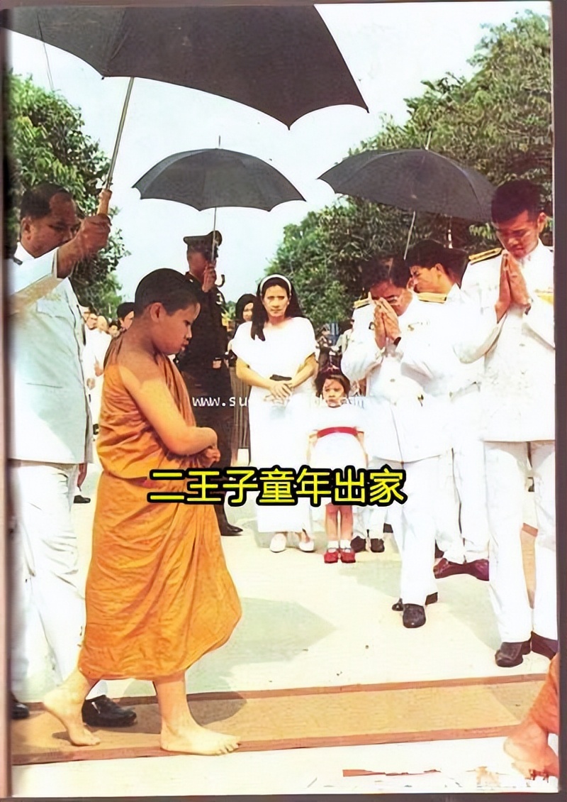 这么抓马?她消失的第8个月,家族变天了?