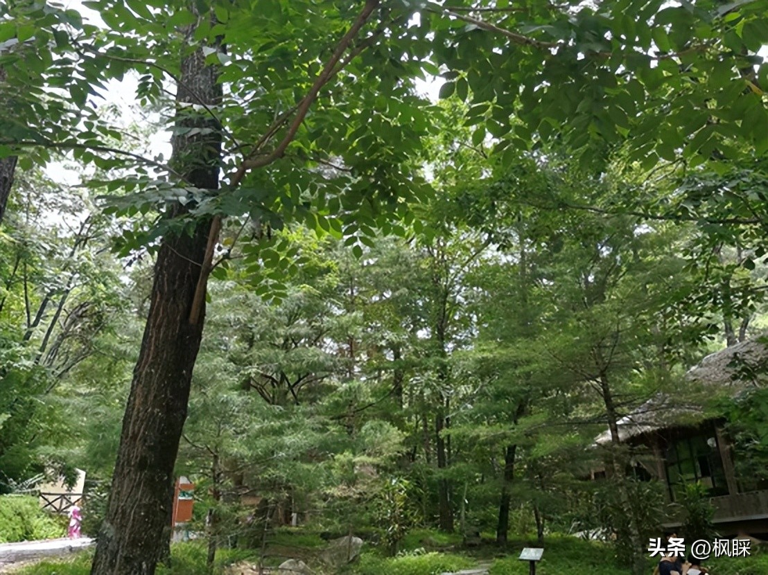西安香格里拉消费价格,西安香格里拉在哪个区