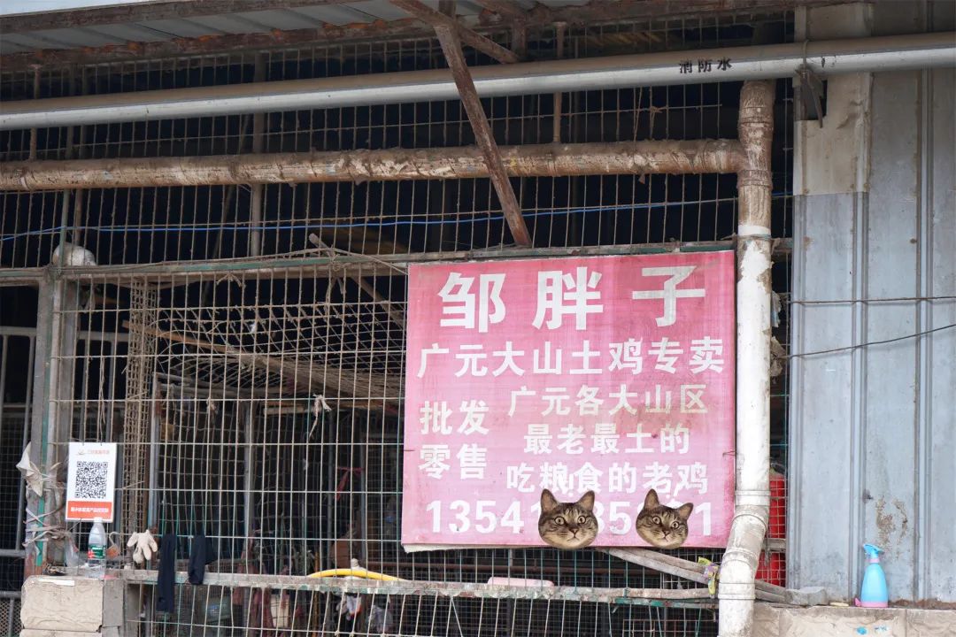 三联鸡鸭市场在哪里,三联市场家禽