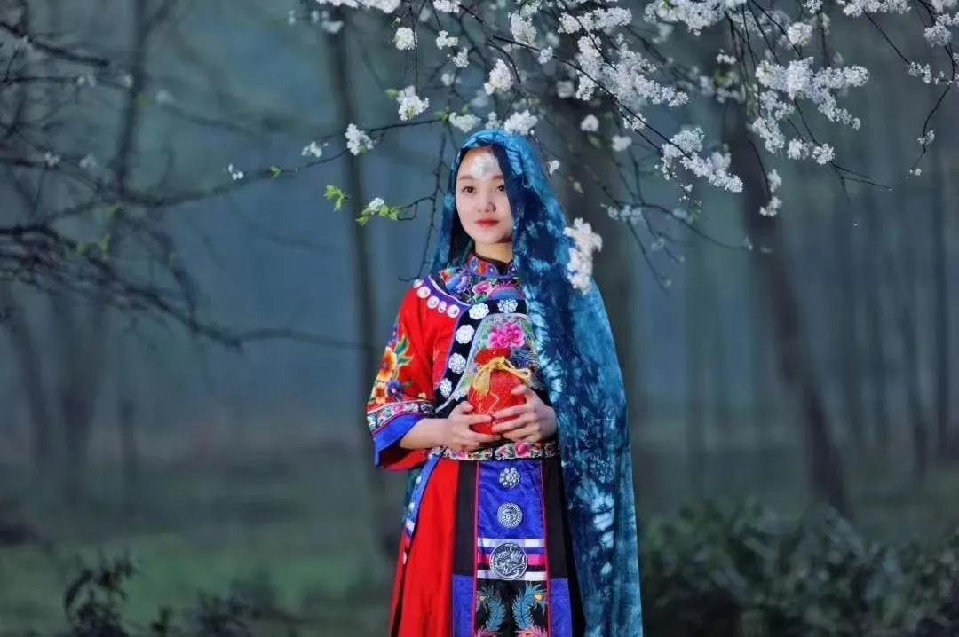 《黑营盘》合集第5集（全8集）（岳立功著）