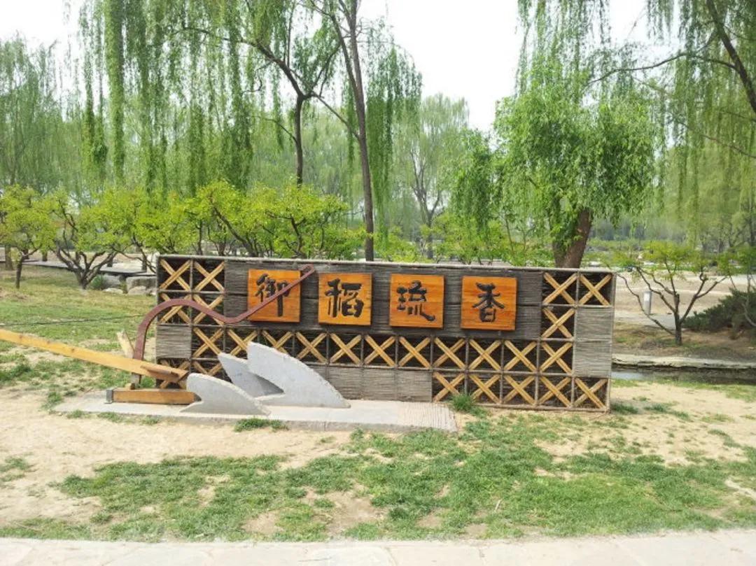 海淀公园相亲小程序,海淀公园相亲角