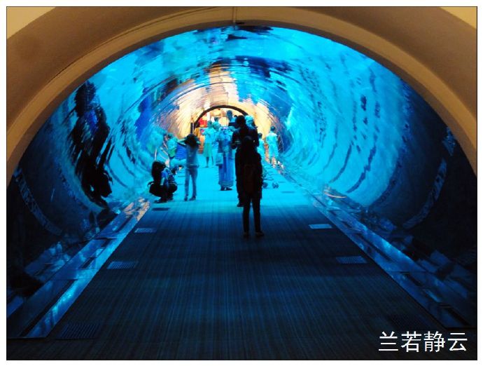 迪拜最豪华最大的商场,迪拜最大的购物中心视频