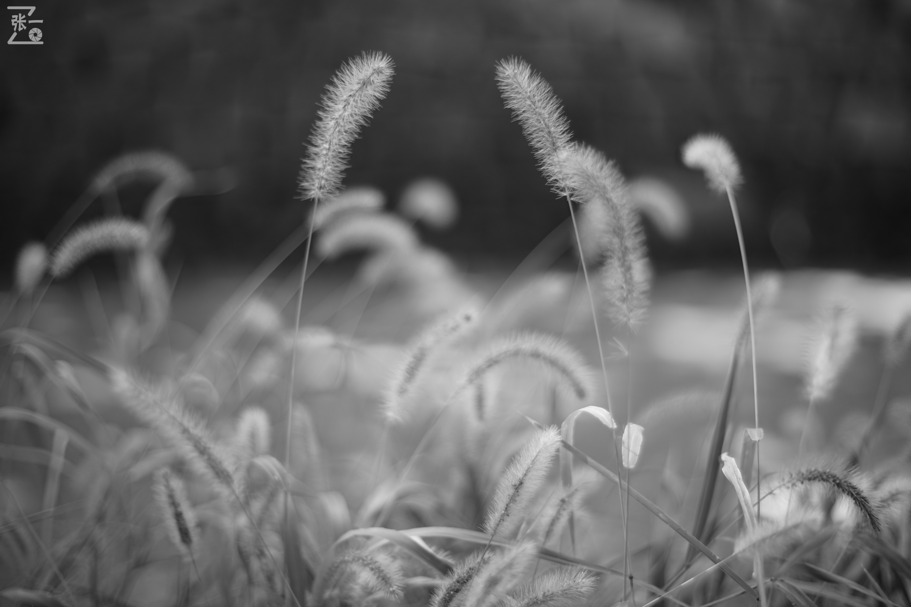 老镜头实拍,老镜头拍北京